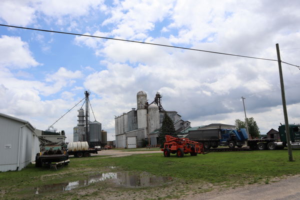 Elwell - June 27 2021 (newer photo)